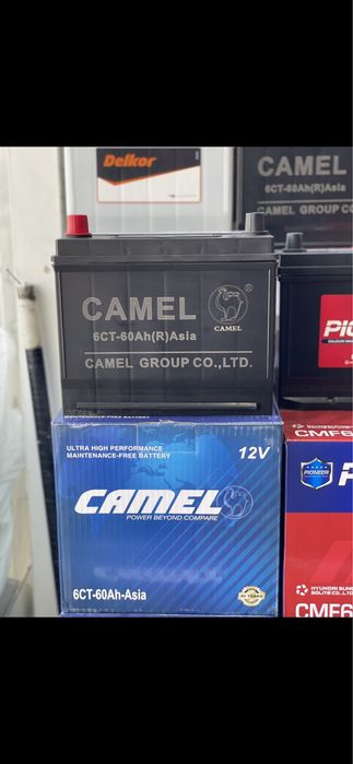 Akumlyator | Akkumlyator optom