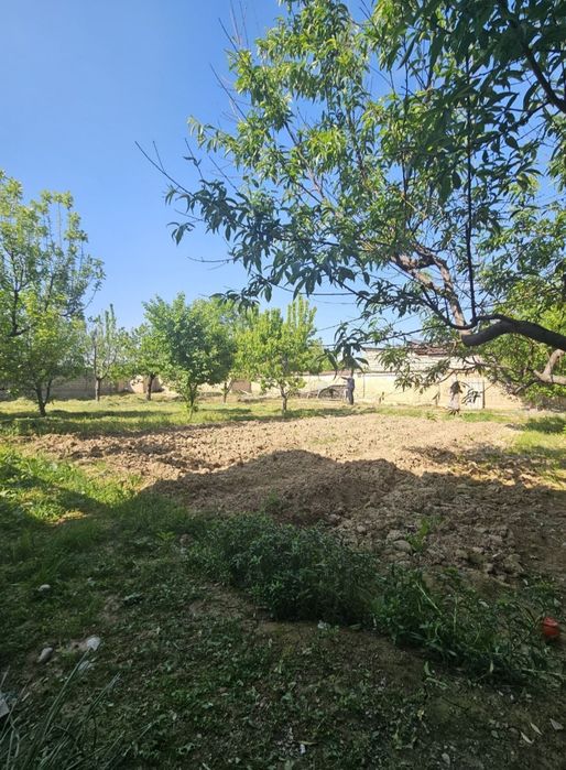 Дурмон Қ.Ф.Й. Янги Арген маҳ. 3 сотих ер участкаси сотилади.