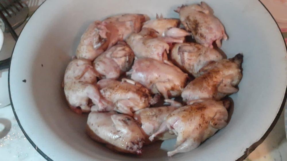 Перепелиное мясо,яйцо