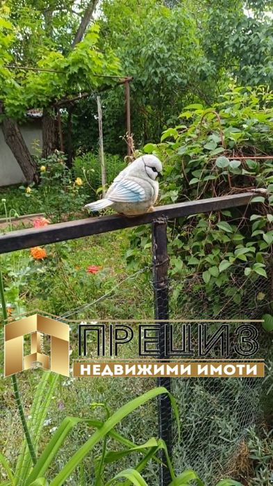 Продажба Къща гр. Каспичан - с. Златна нива 720m² и двор 720m²