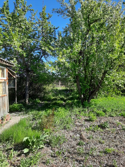 Дача.Опытное поле.