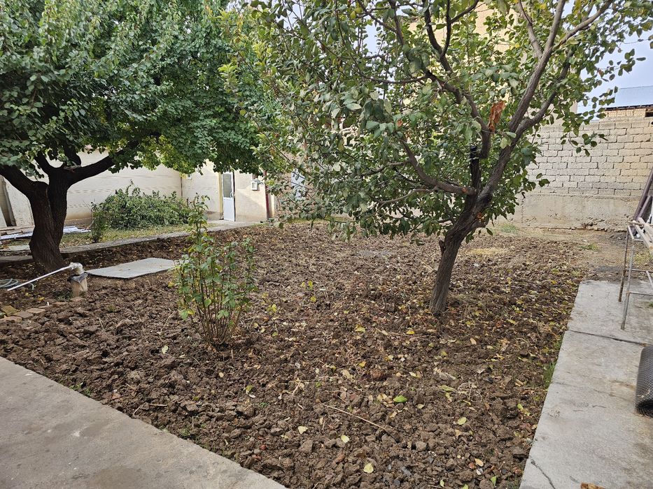 Hasanboy kensoy 4.5 sotix