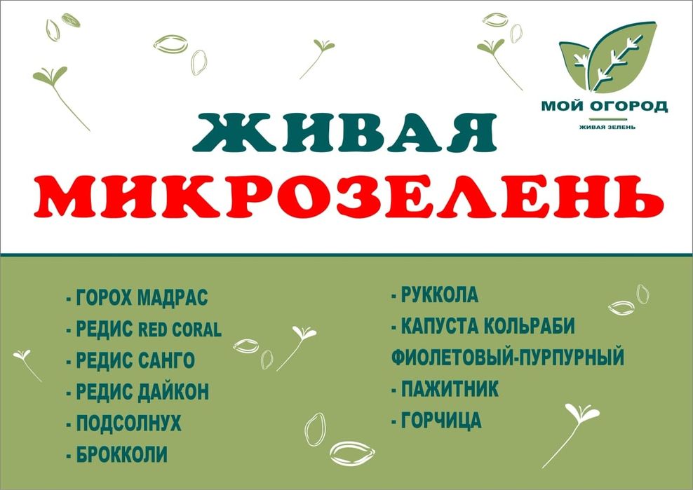 Живая Микрозелень