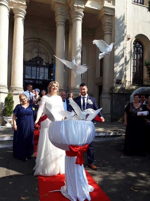 Porumbei albi la nunta Braila Galati