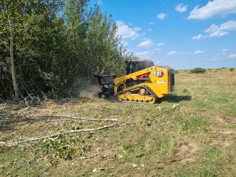 Curatare,defrisare teren, ploaia ajuta si la pret si la defrisare!