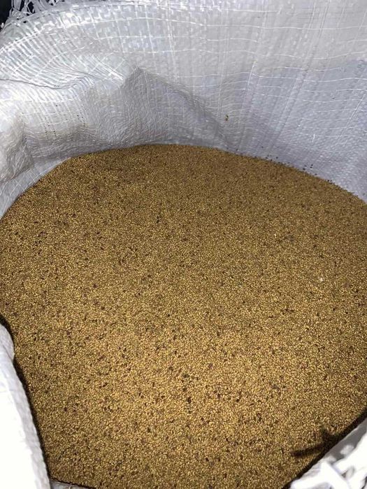 Люцерново семе реколта 2025 год.