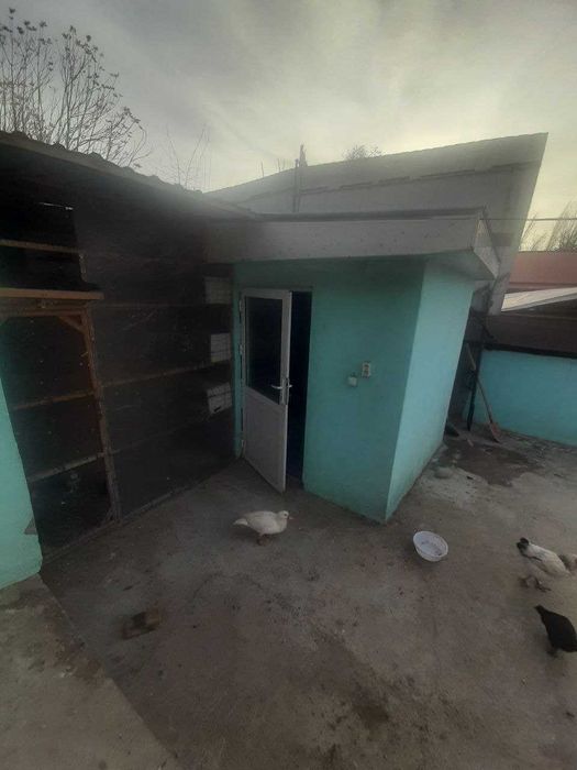 Недвижимость дом