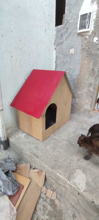 Будка для Собаки