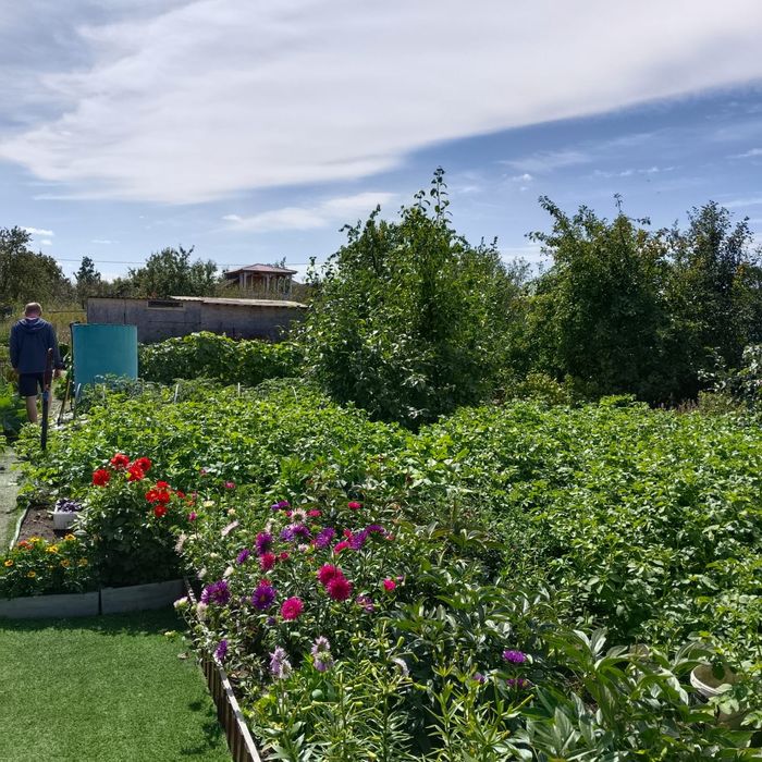 Отличная Дача с банькой