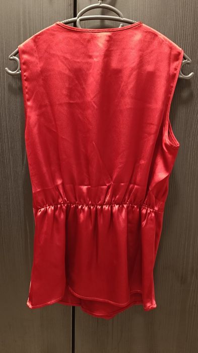 Стенен потник, S