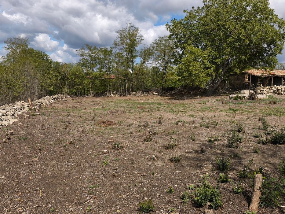 Продава се Парцел в с. Момчилово, Област Варна - 2440 кв.м за 9 €/кв.м - Снимка #6