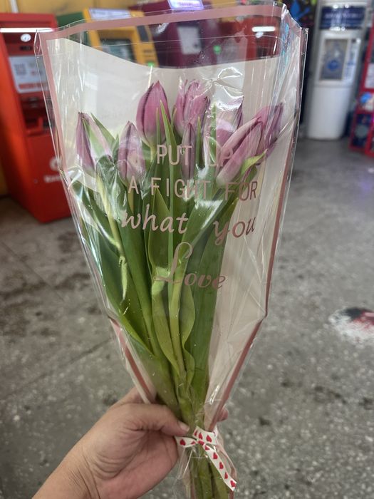 Тюльпаны свежие