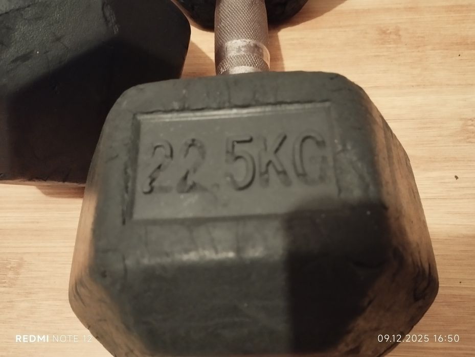 Set două gantere de 22,5 kg