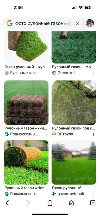 Рулонные газоны.Качественно .Дорого.