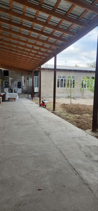 Nazarbek reptom 8 sotik