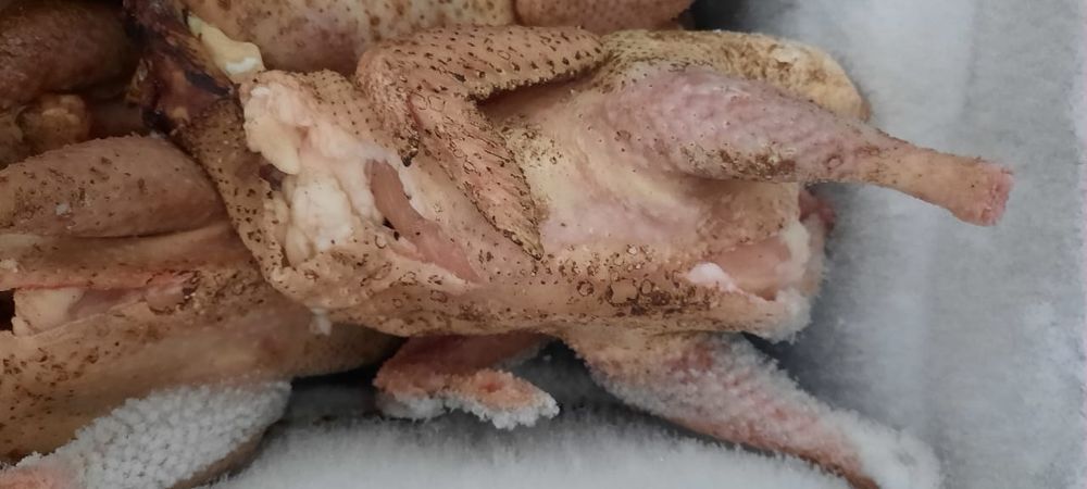 Мясо курицы (тушки)