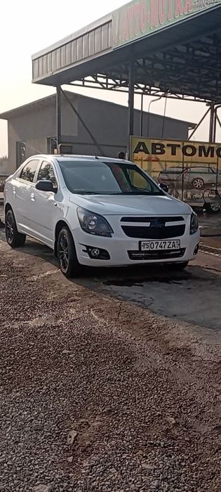 Cobalt midnight 2025