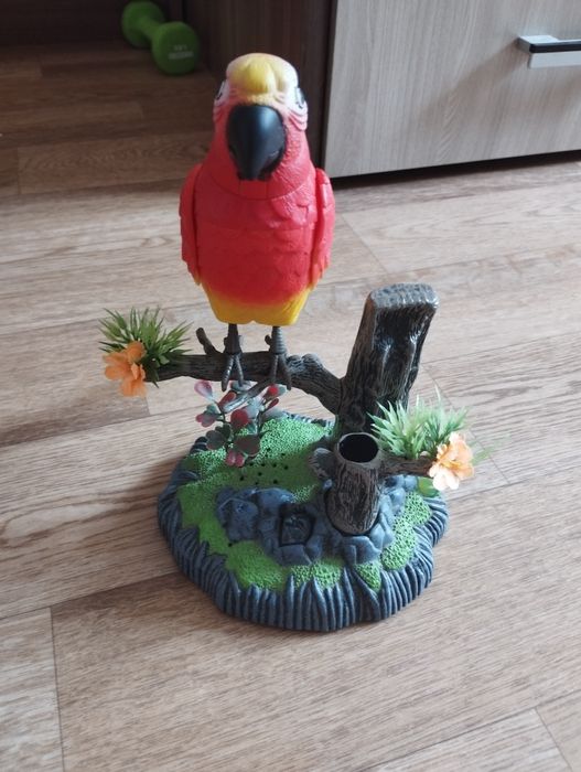 Поющий попугай,на ветке