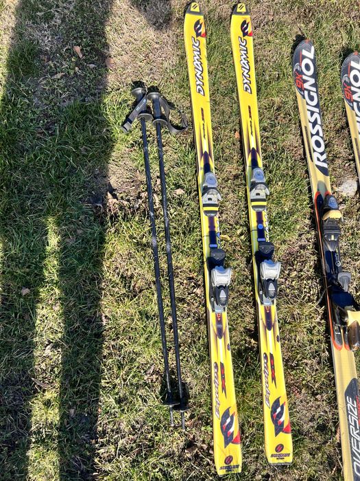 Schiuri clapari bete Rossignol,Lange,Salomon