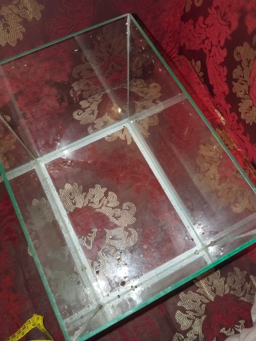 Аквариум плюс рыбки