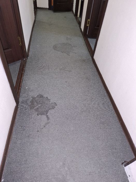 XIMCHISTKA  химчистка мебел  гилам