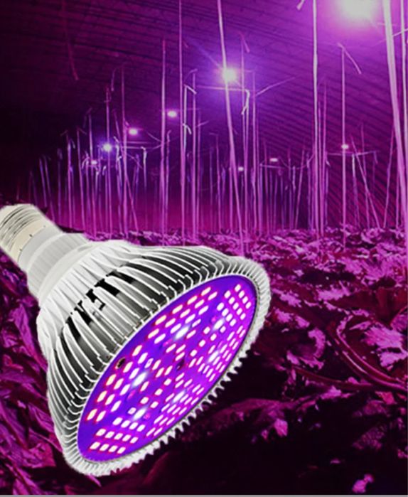 Фитолампы для растений       Цена 180.000 сум 18 w 120см длина