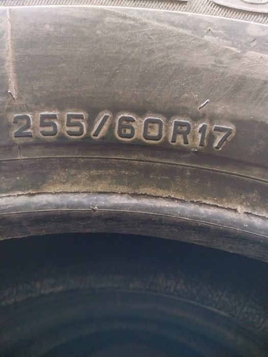 Продам шины  Dynlop