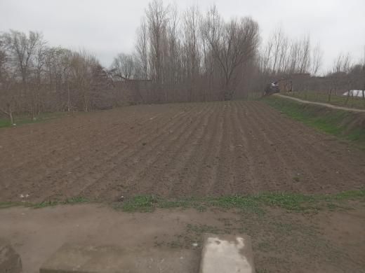 Yer sotiladi 14 sotix