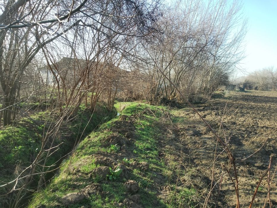 Бука мфй  Уй сотилади 5 хонали гараж бог