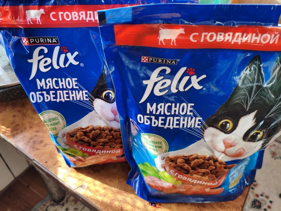 Отдам Кошку Бесплатно