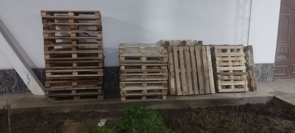 Paddon Sotiladi Sergeli Rayon