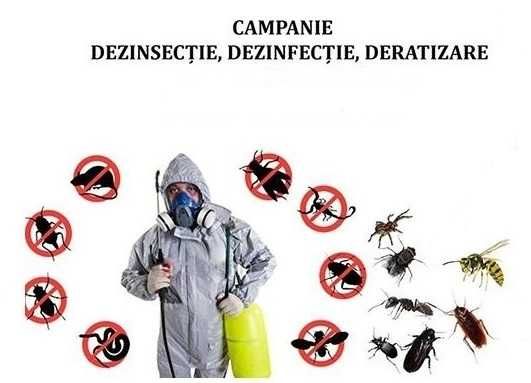 Dezinfectie Dezinsectie Deratizare Dambovita, Ilfov, Bucuresti, Giurgiu, Prahova