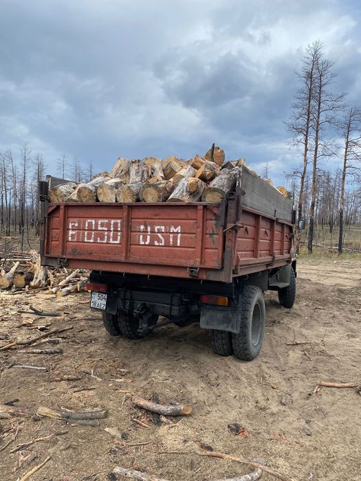 Продам дрова пилиные
