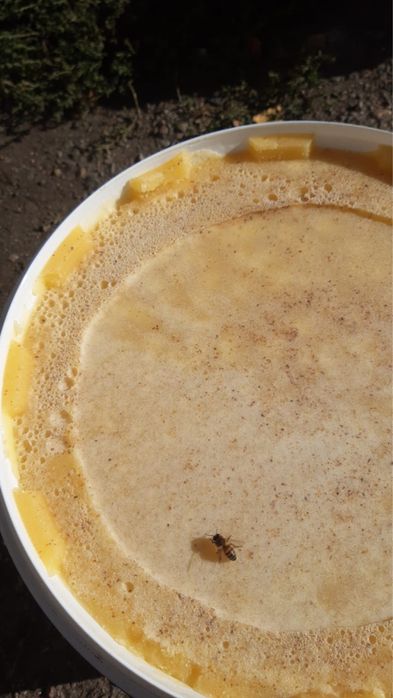 Свежий мёд 2025год  !