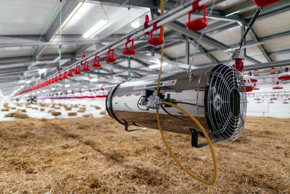 Пушка нагреватель для бройлеров (Isitish uchun pushka)