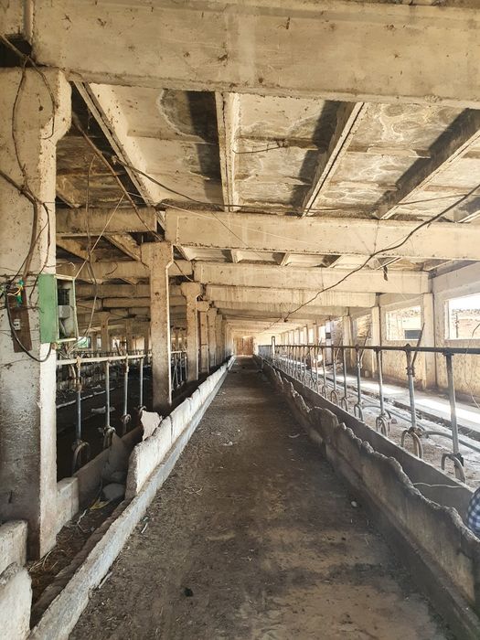 Ferma. 3.8 ga yer maydoniga ega chorva fermasi sotiladi