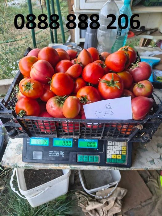 Продавам вкусни домати.