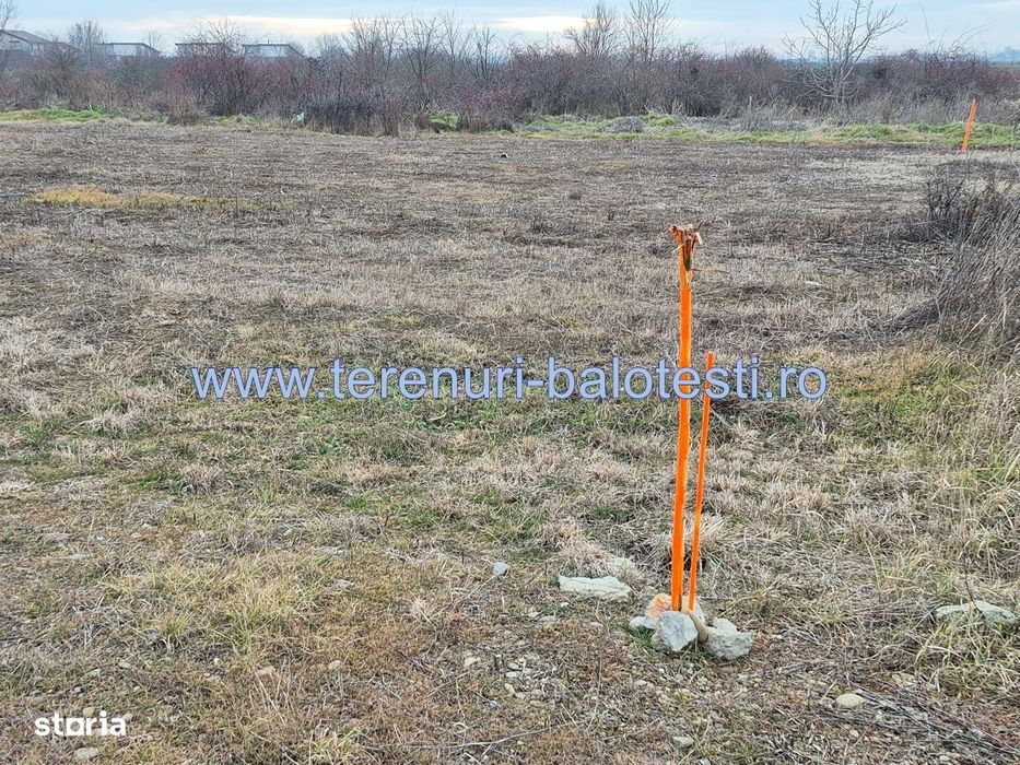 Vanzare teren Balotesti,apropiere Dn1 si sens giratoriu, pr