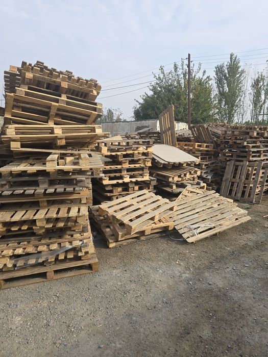 Paddon sotiladi lashimig