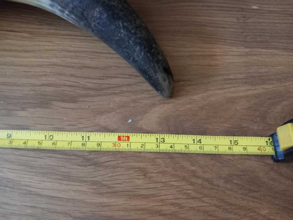 Големи рога за барутници