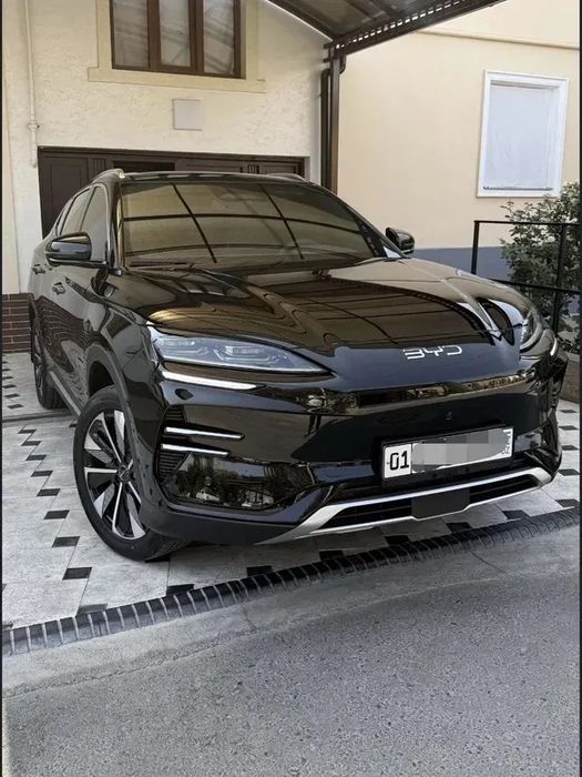 BYD champion restali ideal Sotiladi holati zor yengi balonlada turibdi