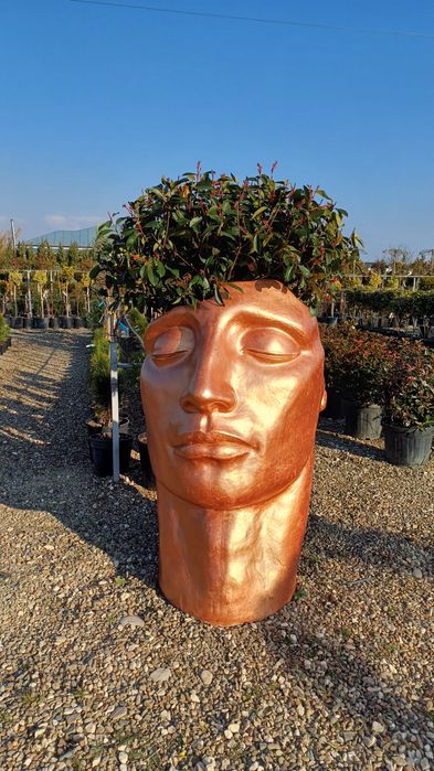 Tot pentru gradina ta