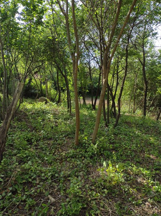 Продава се Парцел в Плевен, Широк център - 601 кв.м за 15 €/кв.м - Снимка #3