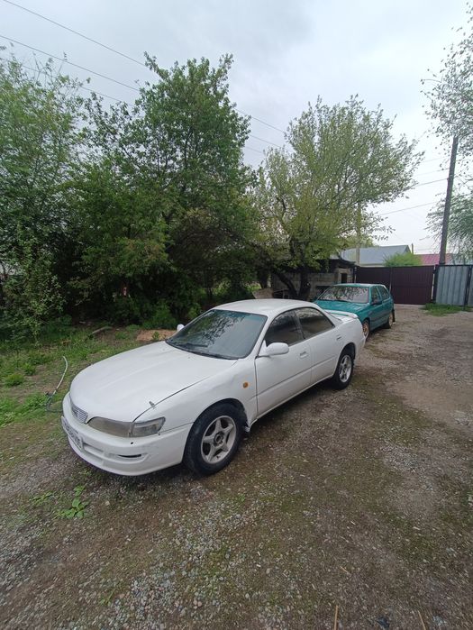 Карина ед тайота