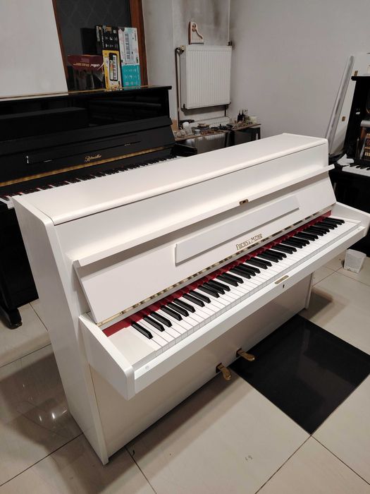 Pianina oferta de vara