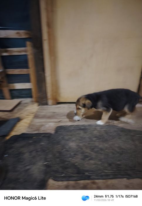 Подарявам бебета