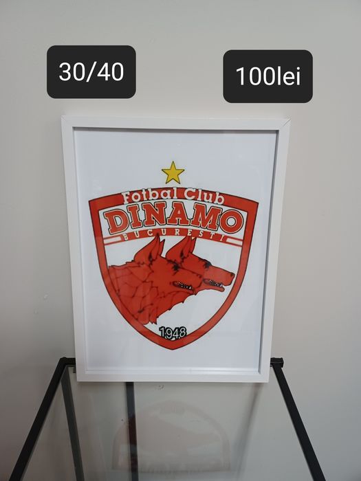 Tablou Dinamo București 1948