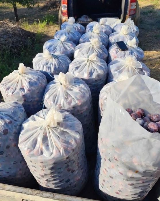 Vand prune de tuica