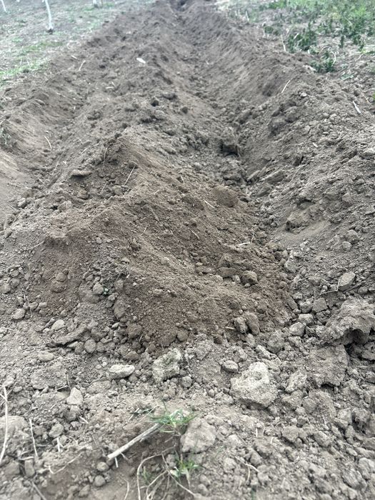 Култиватор сатамын