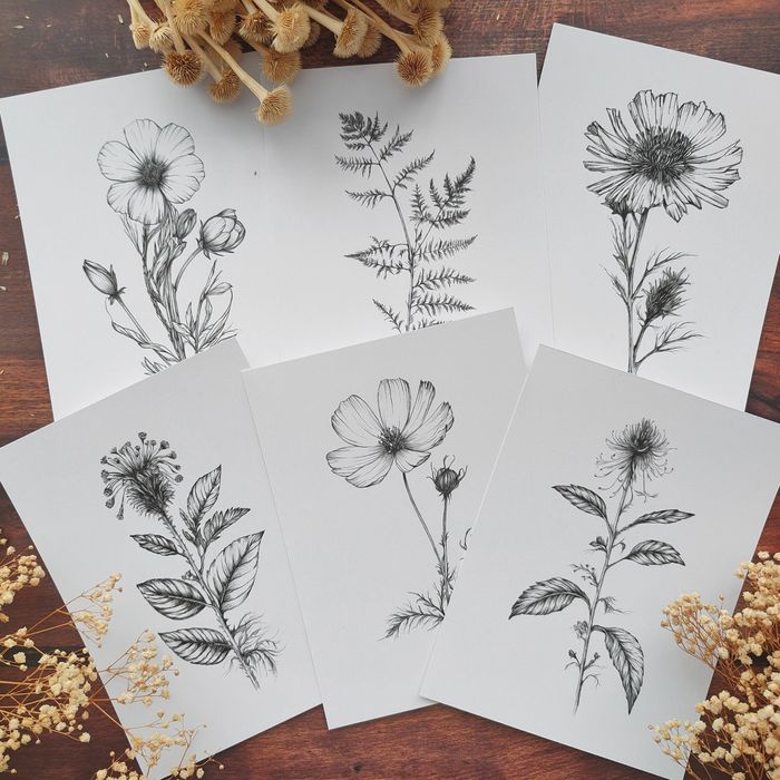 Малки графики на различни видове цветя, рисунки